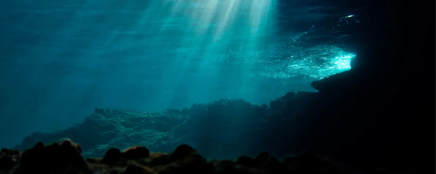 Underwater view of the ocean